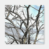 樹木 マグネット (正面)