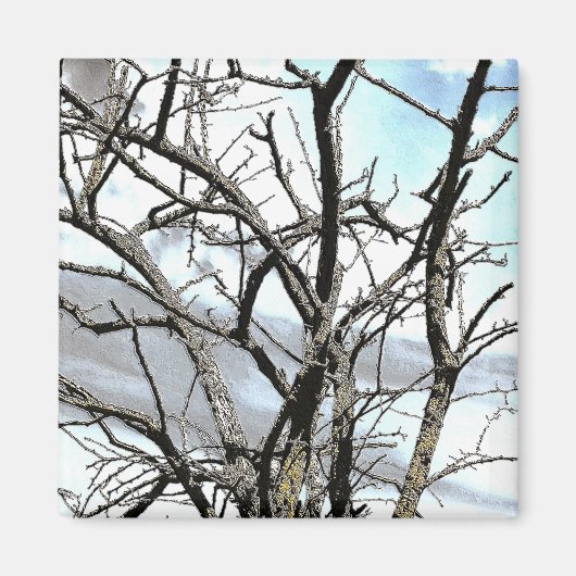 樹木 マグネット (正面)