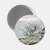 樹木 マグネット (正面/裏面)