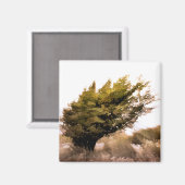 樹木 マグネット (正面/裏面)