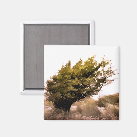 樹木 マグネット (正面/裏面)