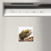 樹木 マグネット (インサイチュ (食洗機))