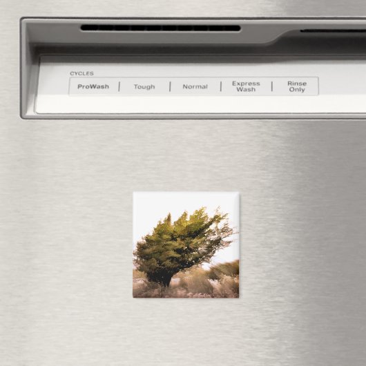 樹木 マグネット (インサイチュ (食洗機))