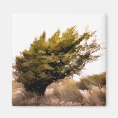 樹木 マグネット (正面)