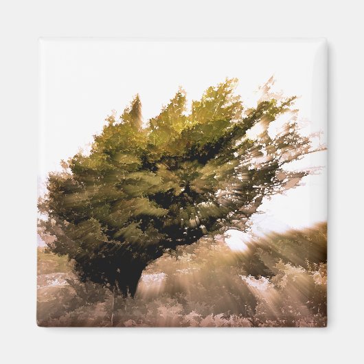 樹木 マグネット (正面)