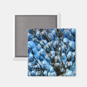 樹木 マグネット (正面/裏面)