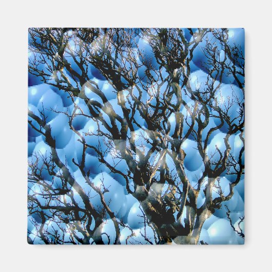 樹木 マグネット (正面)