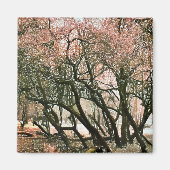 樹木 マグネット (正面)