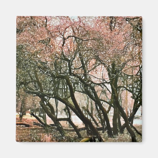 樹木 マグネット (正面)