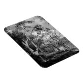 樹木 マグネット (右側)