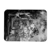 樹木 マグネット (横)