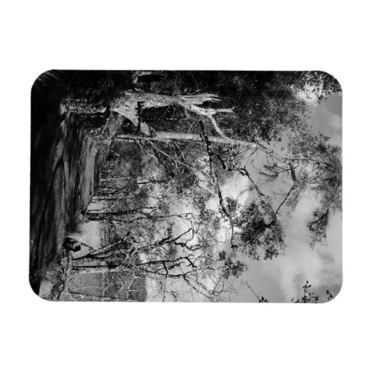 樹木 マグネット (横)