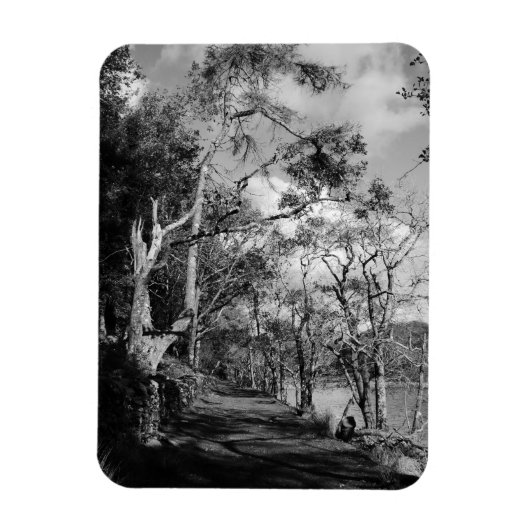 樹木 マグネット (縦)