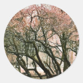 樹木 ラウンドシール (正面)