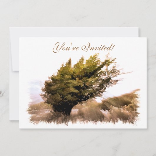 樹木 招待状 (正面)
