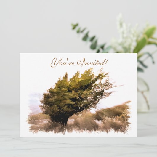 樹木 招待状 (スタンド正面)