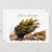 樹木 招待状 (正面/裏面)