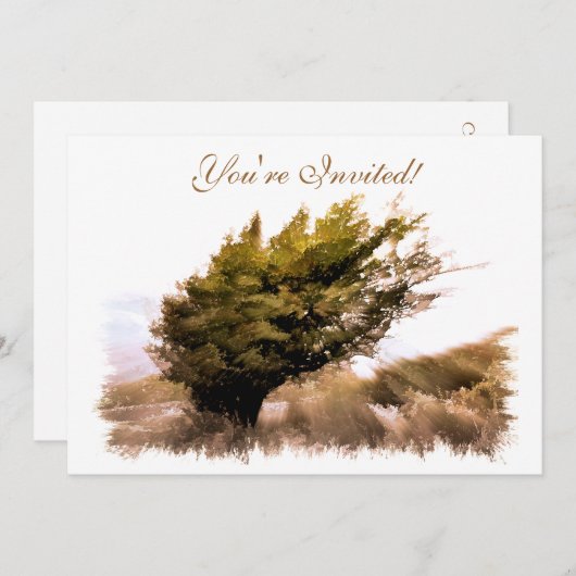 樹木 招待状 (正面/裏面)