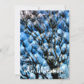 樹木 招待状 (正面)