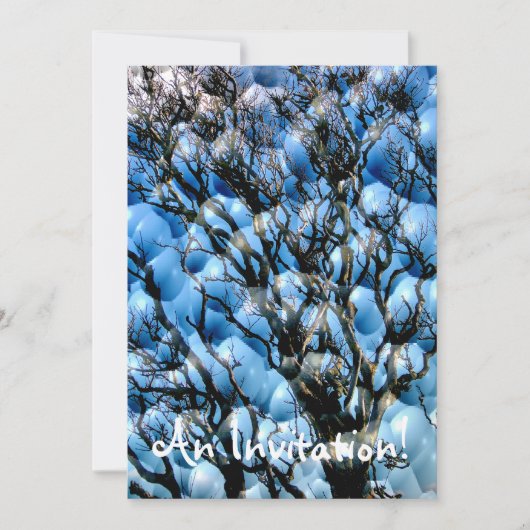 樹木 招待状 (正面)