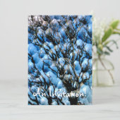 樹木 招待状 (スタンド正面)