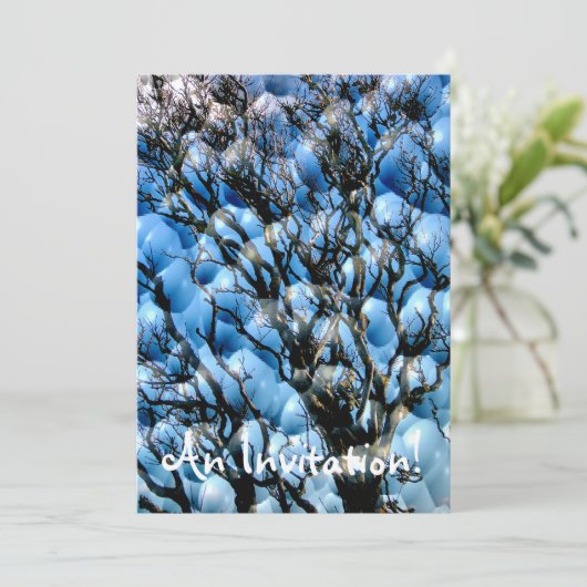 樹木 招待状 (スタンド正面)