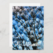 樹木 招待状 (正面/裏面)