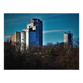 「樹木：期間限定」 フォトプリント           