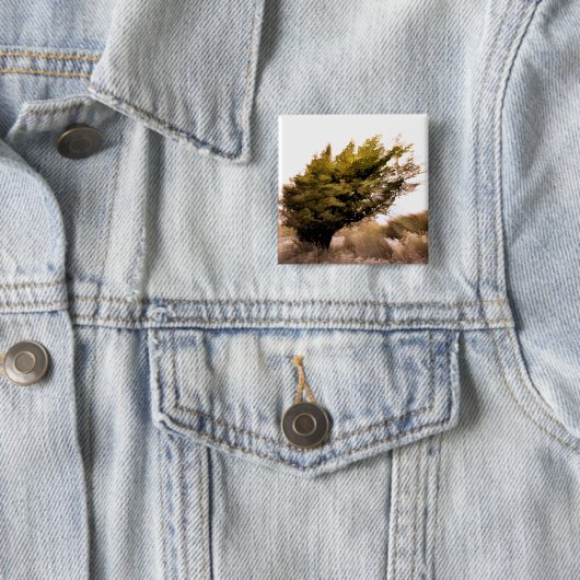樹木 缶バッジ (インサイチュ)
