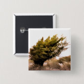 樹木 缶バッジ (正面&裏面)