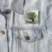 樹木 缶バッジ (インサイチュ)