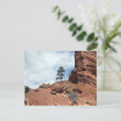 樹林ロック ポストカード (スタンド正面)