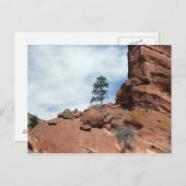 樹林ロック ポストカード (正面/裏面)