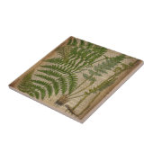 樹林植物性フランスのプリントシダ タイル (側面)