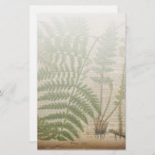 樹林植物性フランスのプリントシダ 便箋 (正面/裏面)