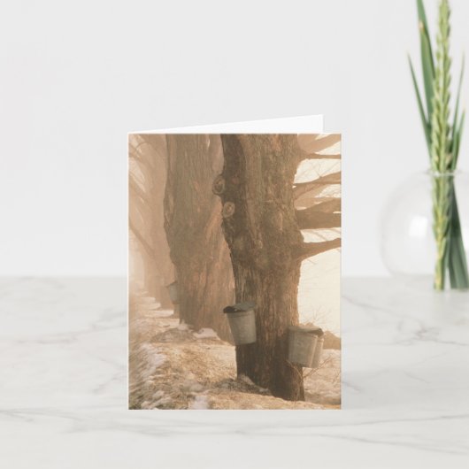 樹液はメッセージカードをバケツでくみます カード (正面)