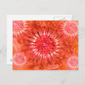 樹状突起の顕微2 ポストカード (正面/裏面)