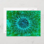 樹状突起の顕微3 ポストカード (正面/裏面)