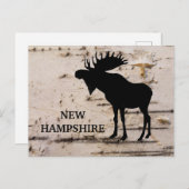 樹皮に黒いシルエットのムース樺の木 ポストカード (正面/裏面)