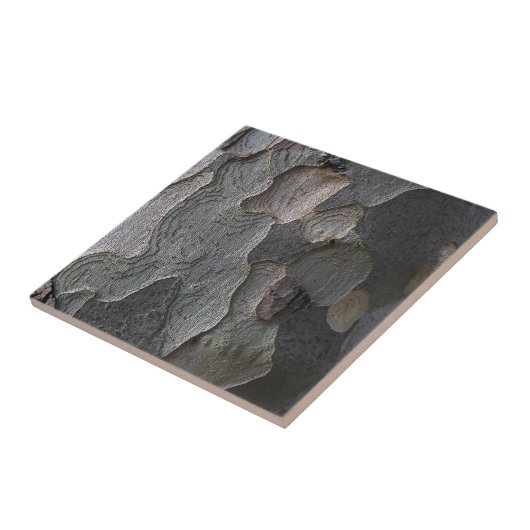 樹皮のマクロ写真撮影 タイル (側面)