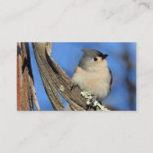 樹皮の上に房状のタイマウス 名刺 (正面)