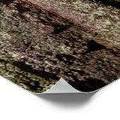 樹皮の木のオークの木の幹の木 ポスター (角)