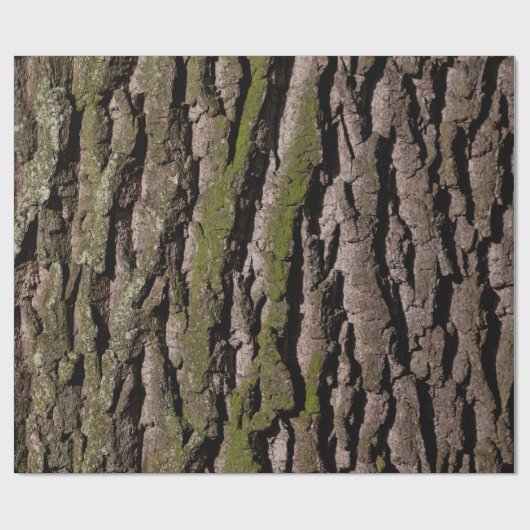 樹皮の木のオークの木の幹の木 ラッピングペーパー (フラット)