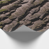 樹皮の木のオークの木の幹の木 ラッピングペーパー (角)