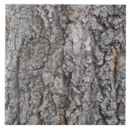 樹皮の木型陶磁器タイル タイル (正面)