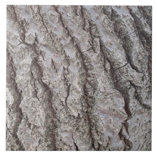 樹皮の木型 タイル (正面)