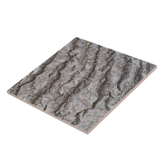 樹皮の木型 タイル (側面)