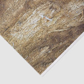 樹皮の木型 薄葉紙 (詳細)