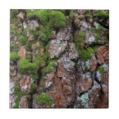 樹皮の木 タイル (正面)