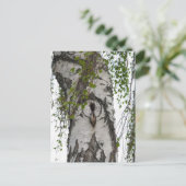 樹皮の木 ポストカード (スタンド正面)